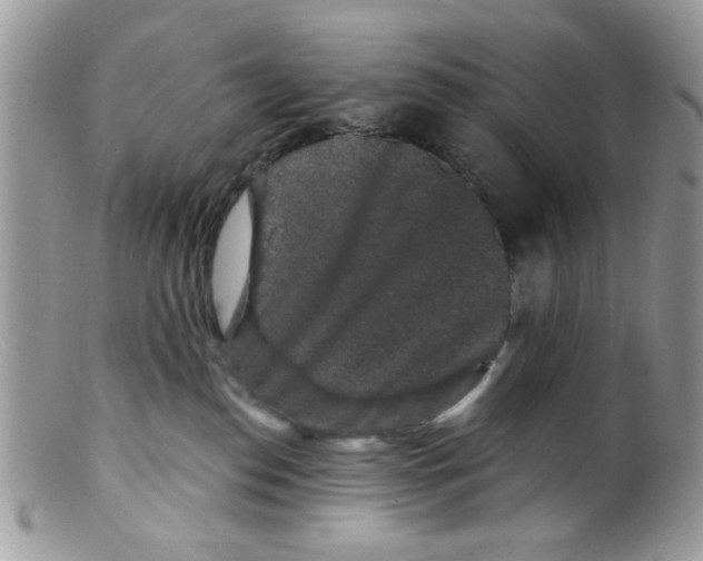 X0000098150186200805151214