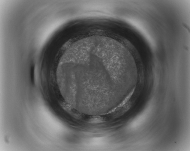 X0000098150189200805151214