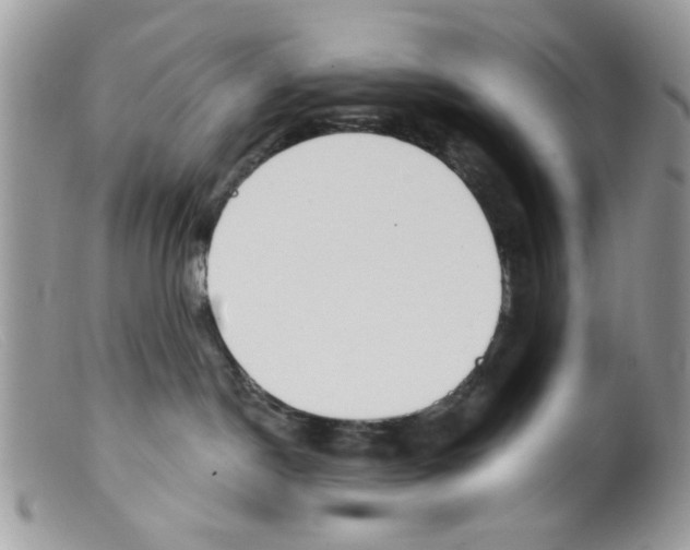 X0000098150190200805151214