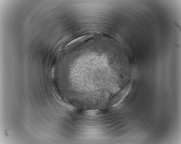 X0000098150191200805151214