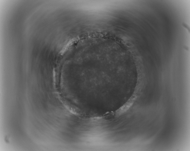 X0000098150192200805151214