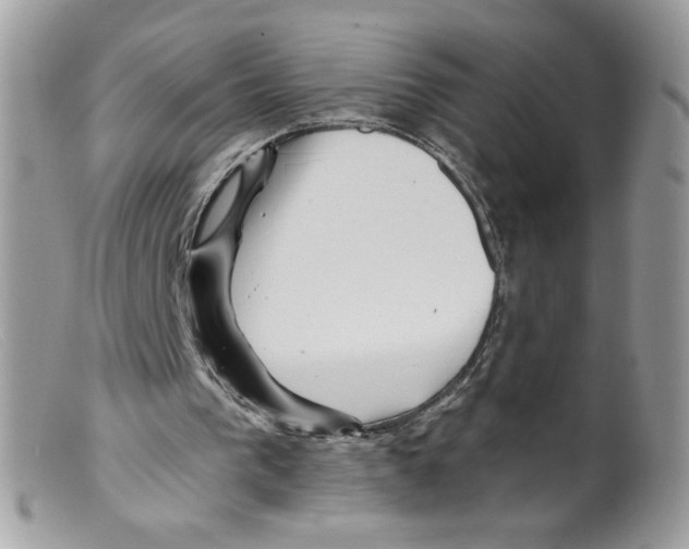 X0000098150193200805151213