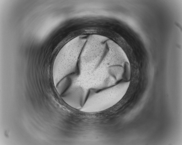 X0000098150194200805151213