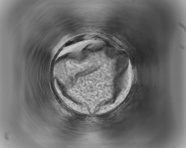 X0000098150195200805151213