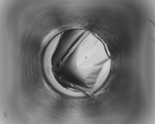 X0000098150197200805151213