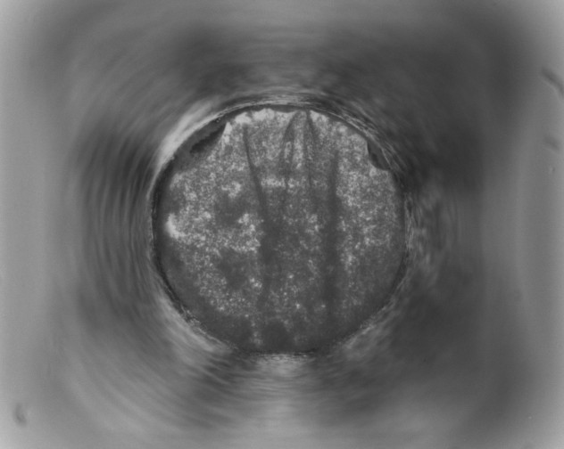 X0000098150198200805151213