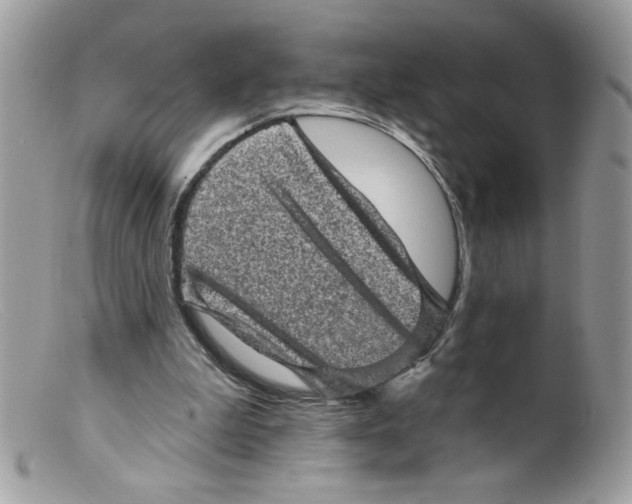 X0000098150199200805151213