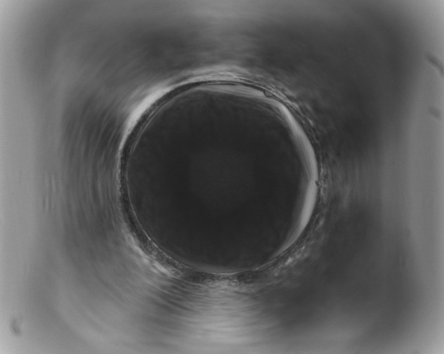 X0000098150200200805151213