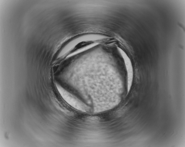 X0000098150203200805151213