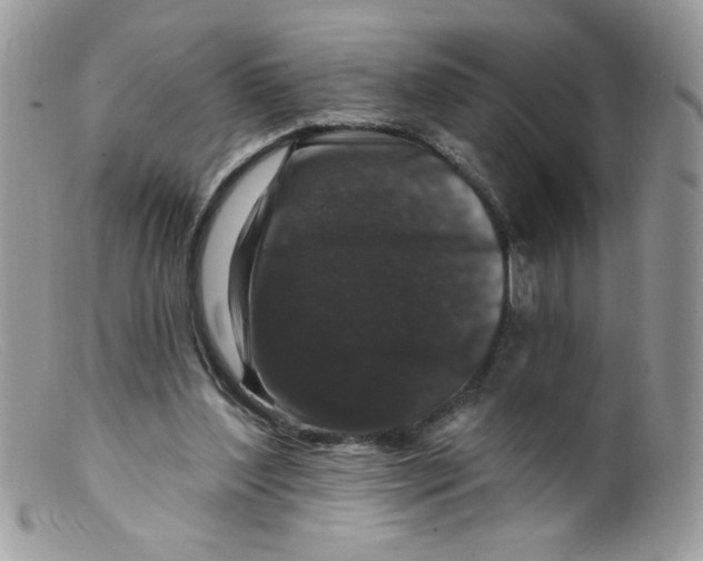 X0000098150204200805151213