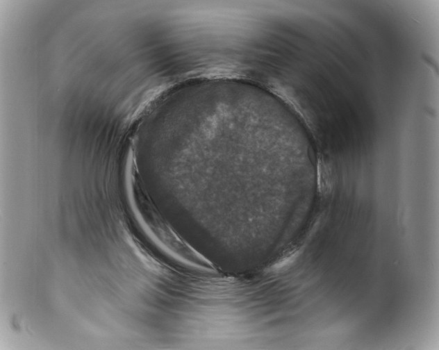 X0000098150205200805151213