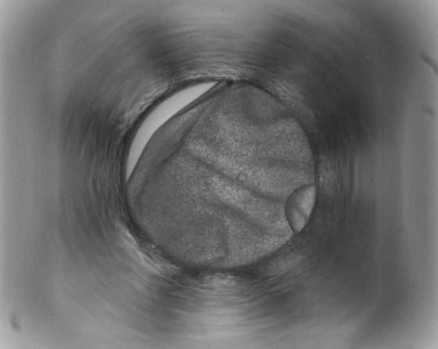 X0000098150206200805151213