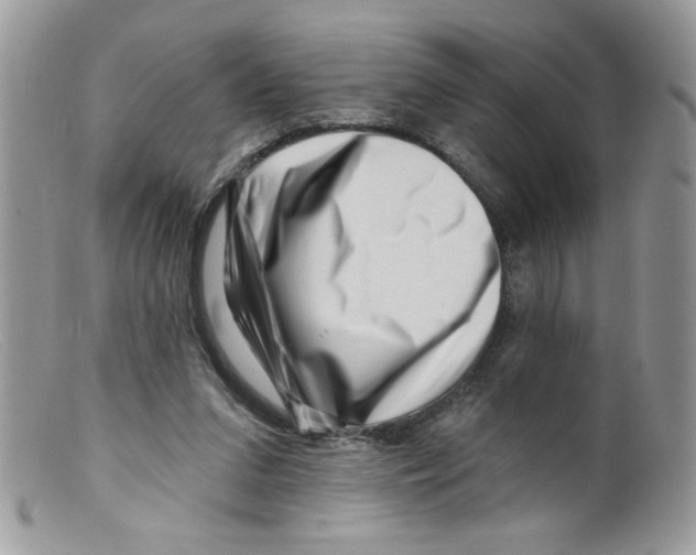 X0000098150207200805151213