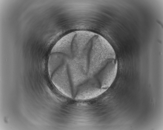 X0000098150208200805151213