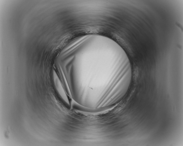 X0000098150209200805151213