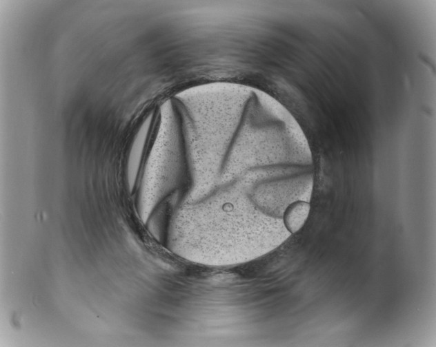 X0000098150210200805151213