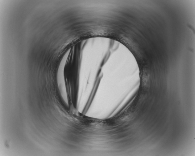 X0000098150211200805151213