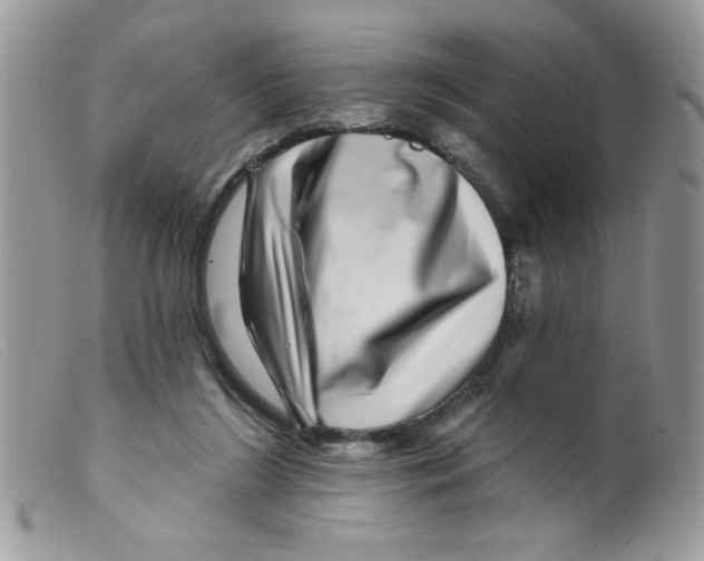 X0000098150212200805151213