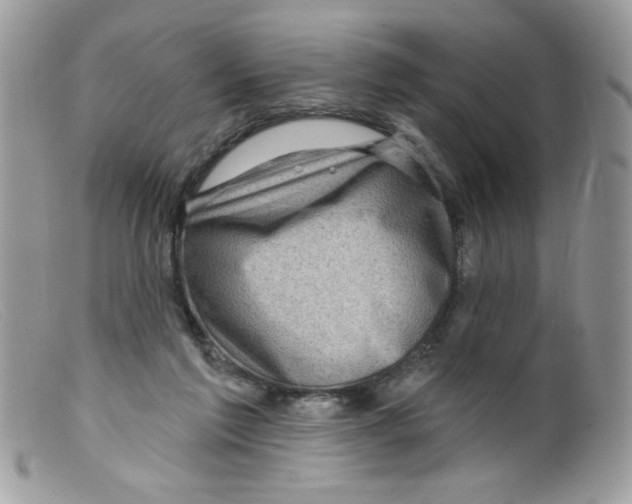 X0000098150213200805151213