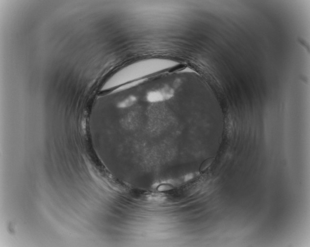 X0000098150214200805151213