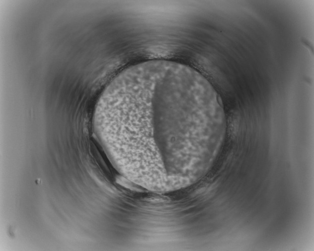 X0000098150215200805151213