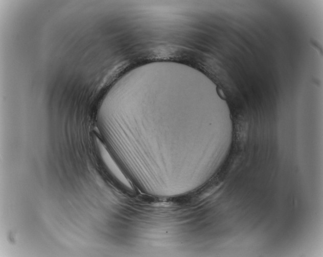 X0000098150216200805151213