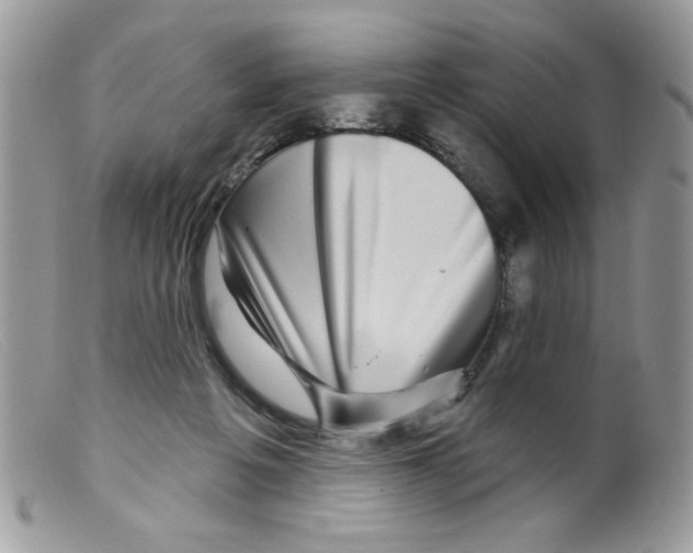 X0000098150217200805151213