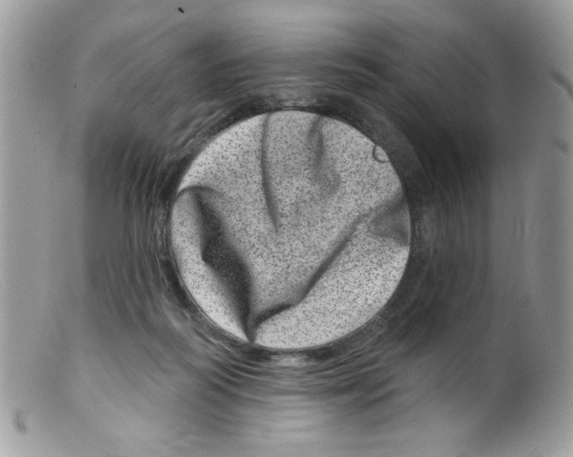 X0000098150218200805151213