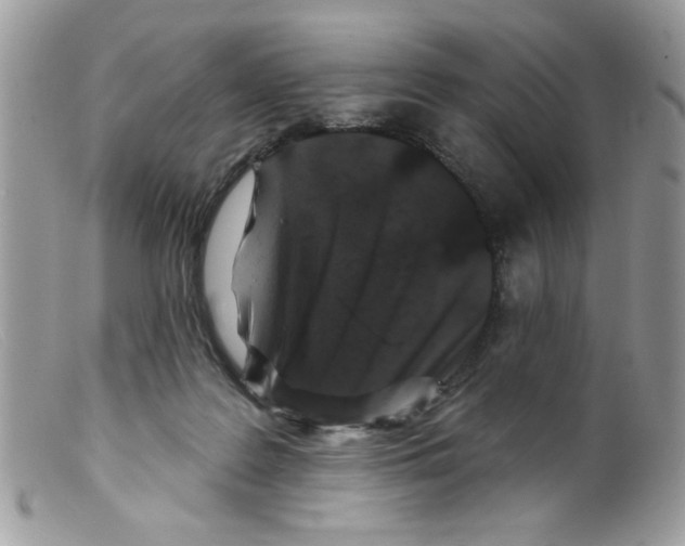 X0000098150219200805151213