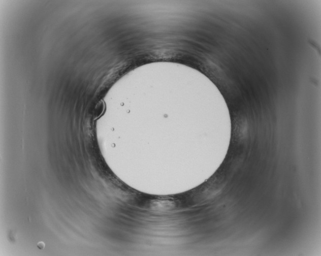 X0000098150220200805151213