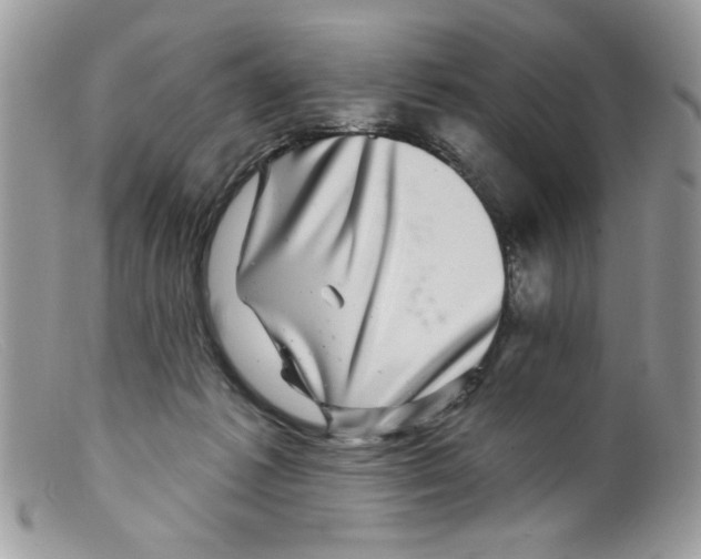 X0000098150221200805151213