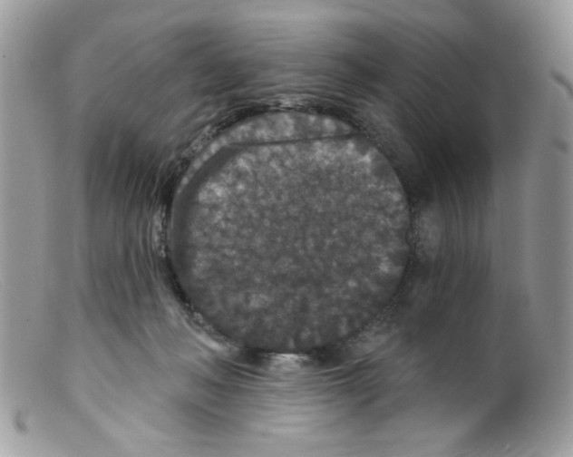 X0000098150222200805151213