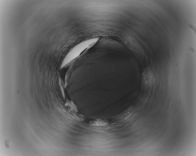 X0000098150223200805151213