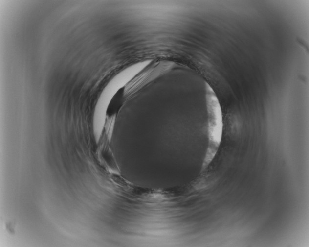 X0000098150224200805151212