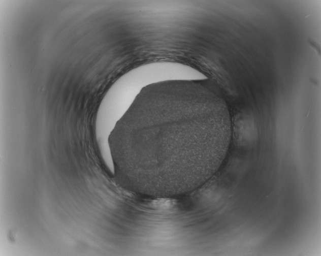 X0000098150225200805151212