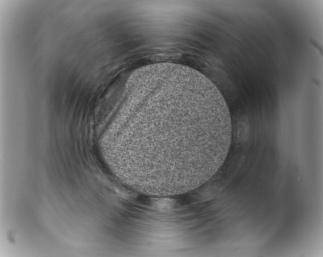 X0000098150226200805151212