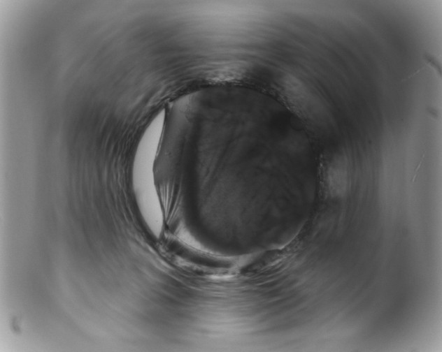 X0000098150227200805151212