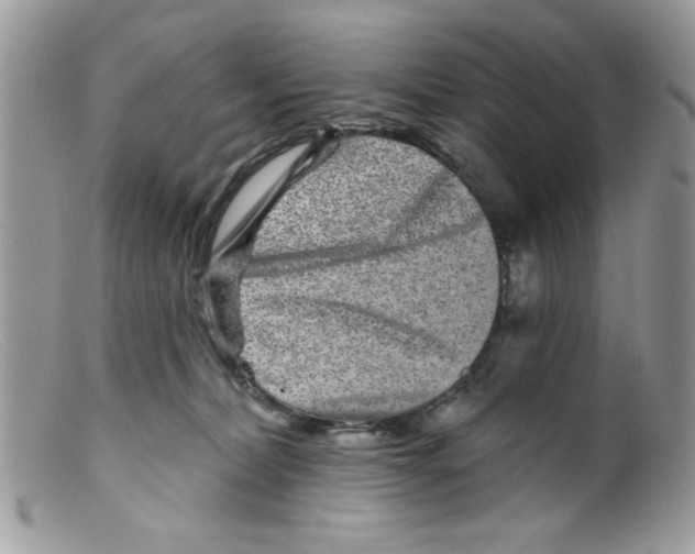 X0000098150228200805151212