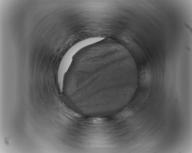 X0000098150229200805151212