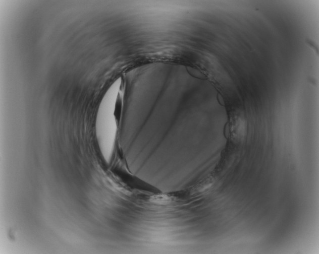 X0000098150231200805151212