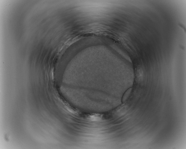 X0000098150232200805151212