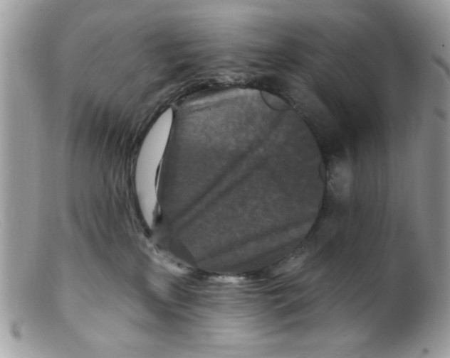 X0000098150233200805151212