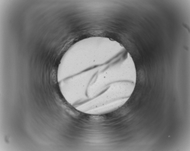 X0000098150234200805151212