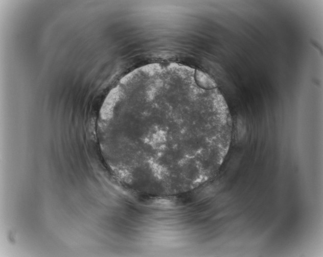 X0000098150236200805151212