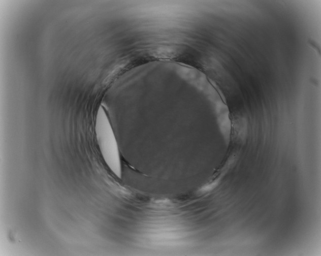 X0000098150237200805151212