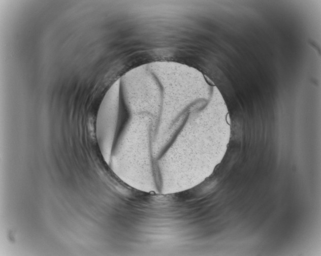 X0000098150238200805151212