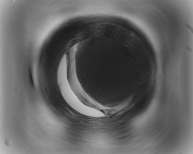 X0000098150239200805151212