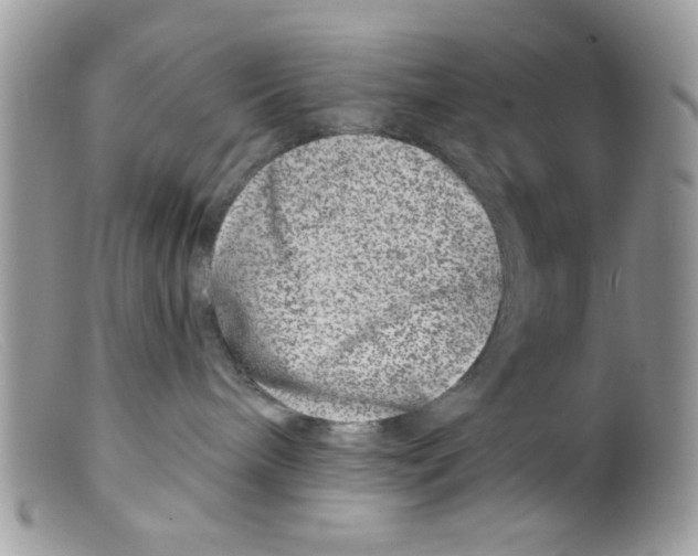 X0000098150240200805151212