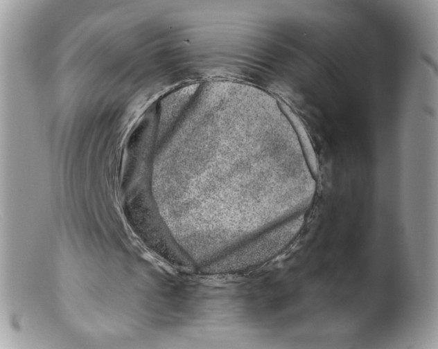 X0000098150241200805151211