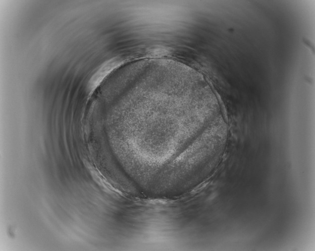 X0000098150242200805151211